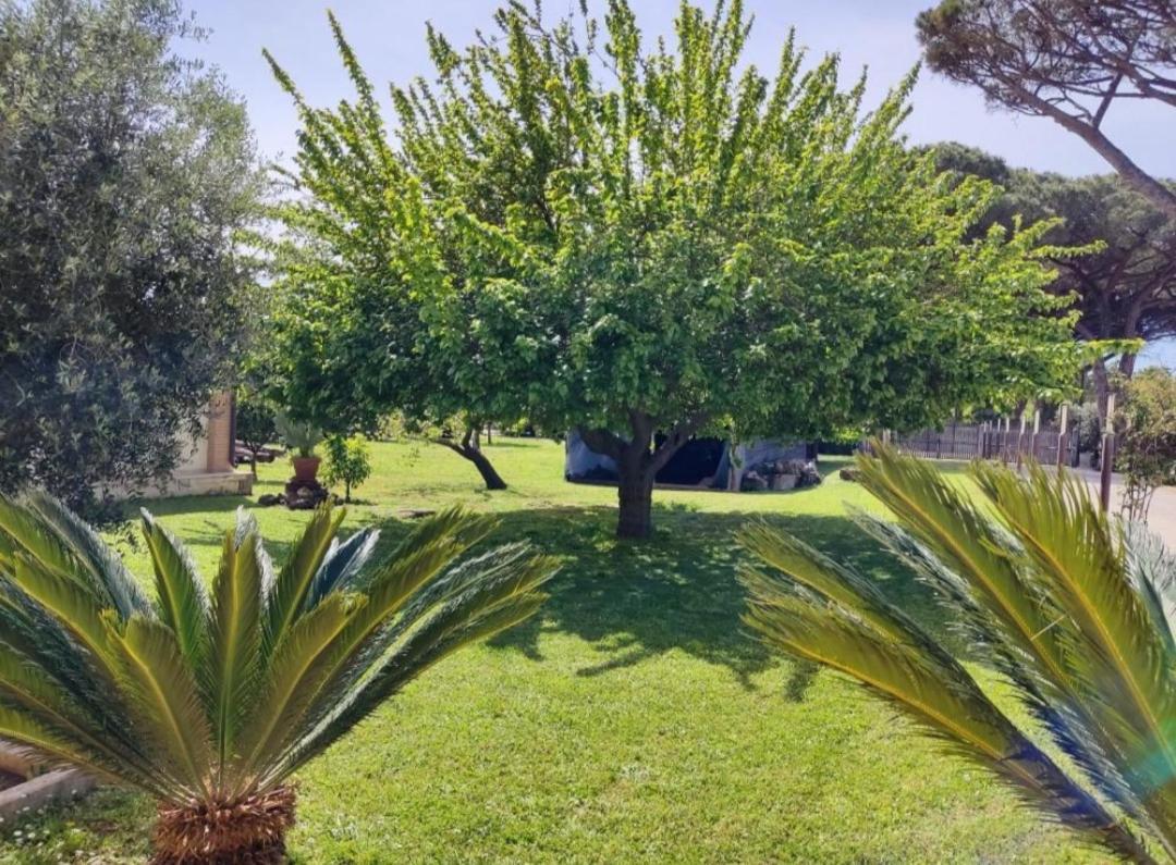 Casale Elisa Country Landhaus Ladispoli